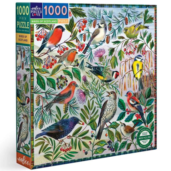 1000-teiliges Puzzle: Vögel Schottlands - Eeboo-PZTBDS