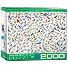 2000 Teile Puzzle: Die Welt der Vögel