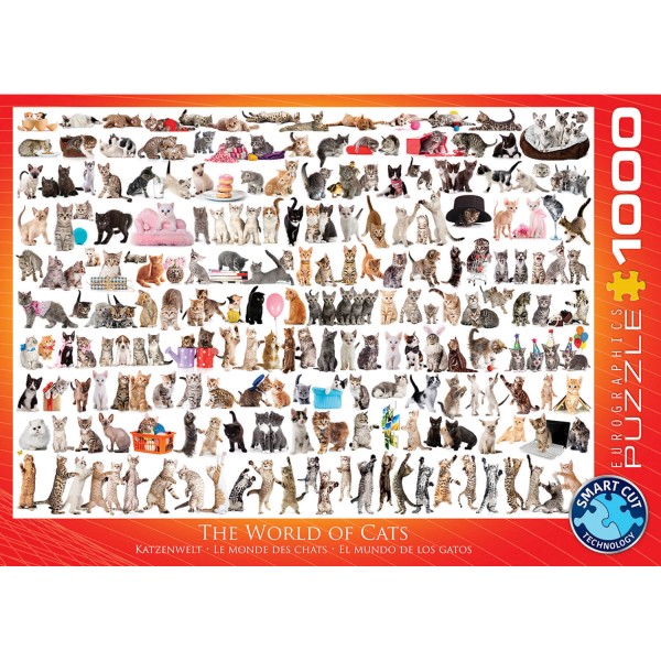 1000 pieces puzzle: the world of cats - EuroG-6000-0580