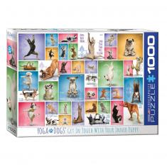 1000 pieces puzzle: Yoga dogs