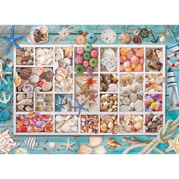 Puzzle 1000 pièces : Collection de coquillages - EuroG-6000-5529