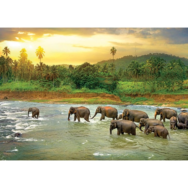 1000 pieces puzzle: Save the planet: Tropical forest - EuroG-6000-5540