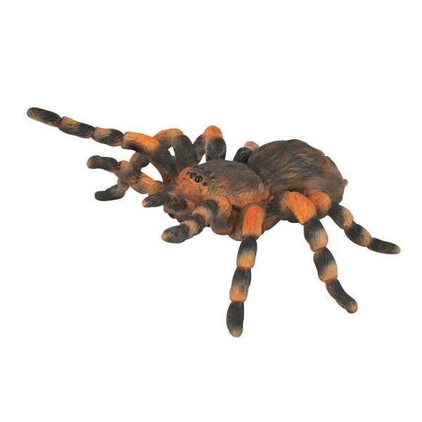Figurine Insecte : Mygale - Collecta-COL88338