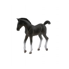 Cheval Tennessee Walking Horse - Poulain noir