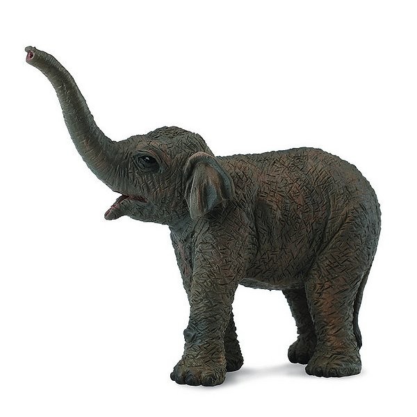 Figurine Eléphant d'Asie : Bébé - Collecta-COL88487