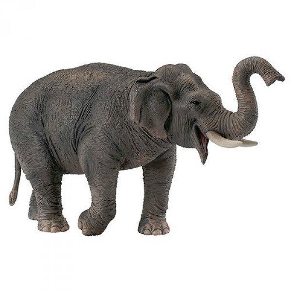 Figurine Eléphant d'Asie - Collecta-COL88486