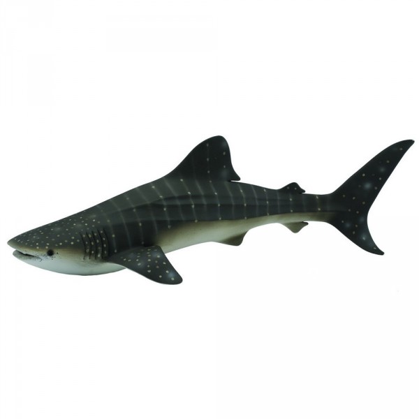Figurine : Animaux marins : Requin-baleine - Collecta-COL88453