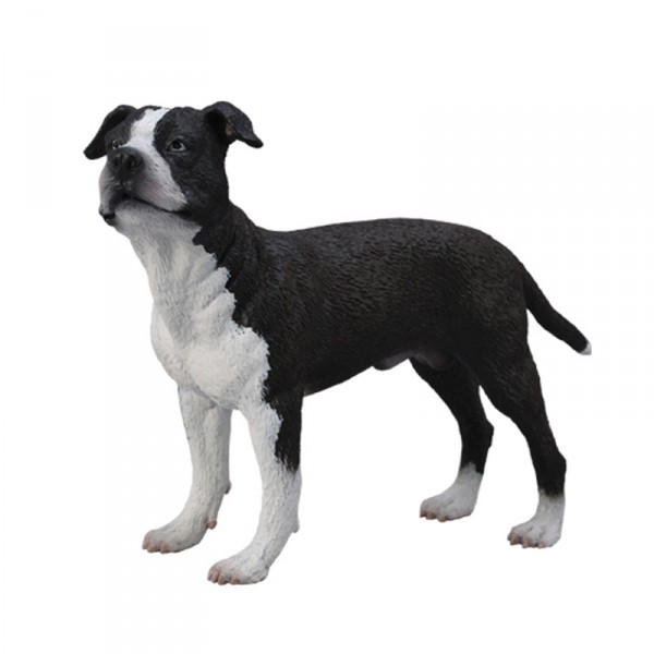 Figurine Chien : American Staffordshire Terrier - Collecta-COL88610