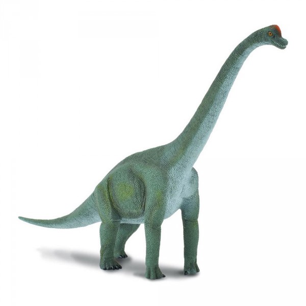 Figurine Dinosaure : Brachiosaure - Collecta-COL88121