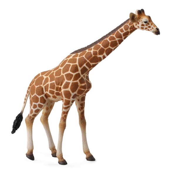 Figurine Girafe - Collecta-COL88534