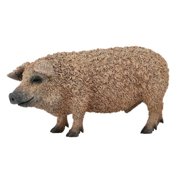 Figurine Porc Laineux - Collecta-COL88674