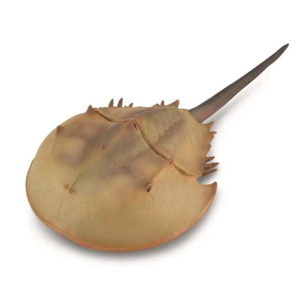 Figurine Préhistoire (Xl): Lumilidae (Horseshoe Crab) - Collecta-COL88905