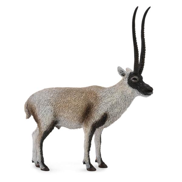 Figurine Animaux Sauvages (L): Antilope Du Tibet (Chirou) - Collecta-COL88721