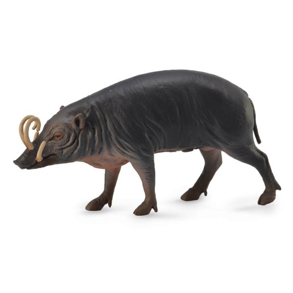 Figurine Animaux Sauvages (L): Babiroussa - Collecta-COL88727