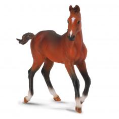 Figurine Cheval : Quarter Horse Poulain Bay 