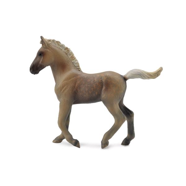 Figurine Cheval : Poulain Rocky Mountain  - Collecta-COL88799