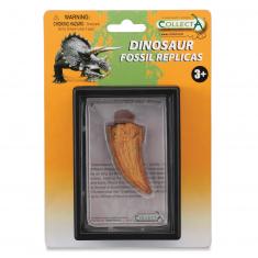 Coffret préhistorique : Dent Latérale De T-Rex (Réplique de fossile)