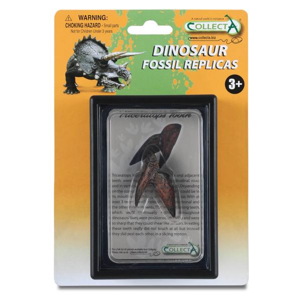 Figurine dinosaure : Dent De Triceratops - Collecta-3389283