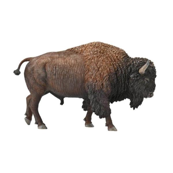Figurine Animaux sauvages : Bison d'Amérique - Collecta-3388968