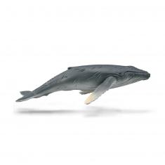 Figurine Animaux Marins (M): Baleine À Bosse Veau 