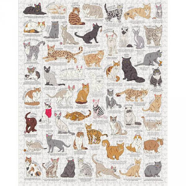 Puzzle 1000 pièces : Amoureux des chats - Galison-78575