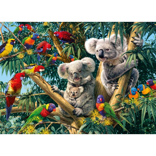 Puzzle 1000 pièces : Adorables koalas - Gibsons-G7062