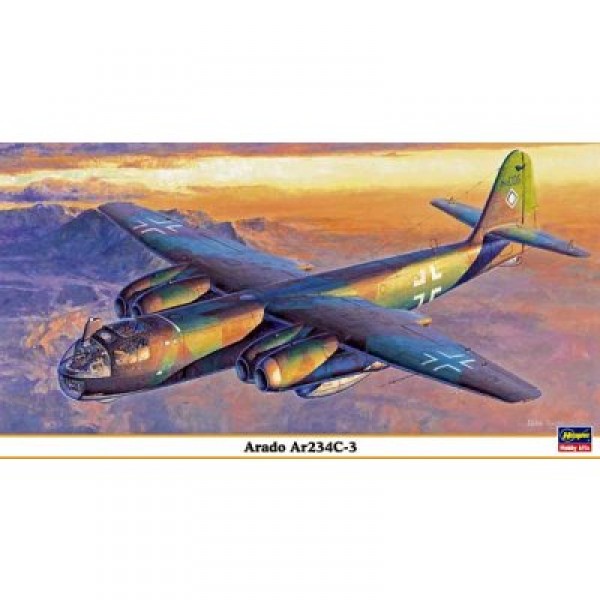 Maquette avion : Arad -3 - Hasegawa-09845