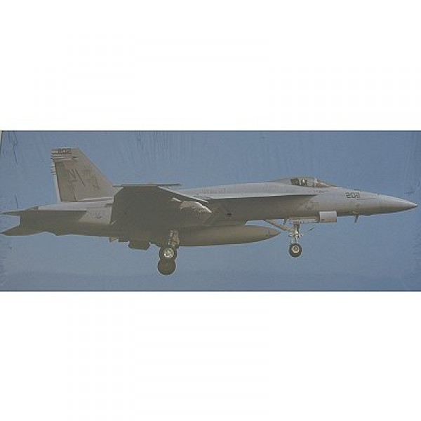 Maquette avion : F/A-18E Super Hornet Low Visibility - Hasegawa-00829