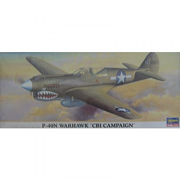 Maquette avion : P-40N Warhawk CBI Campaign - Hasegawa-00649