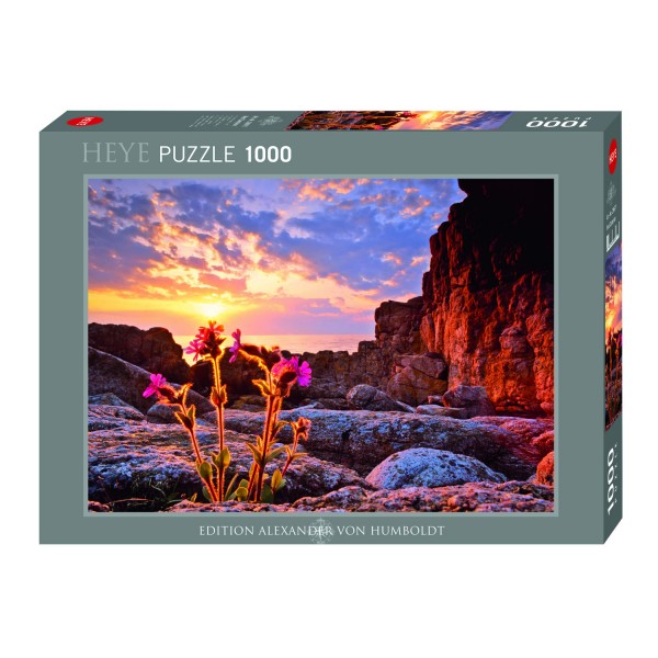 Puzzle 1000 pièces : Compagnon rouge - Heye-29671-58326