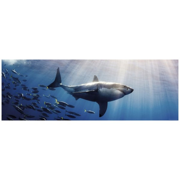 Puzzle 1000 pièces panoramique Humbolt : Requin blanc - Mercier-29672-58336