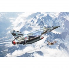 Maquette avion : Mirage F1 Bye Bye