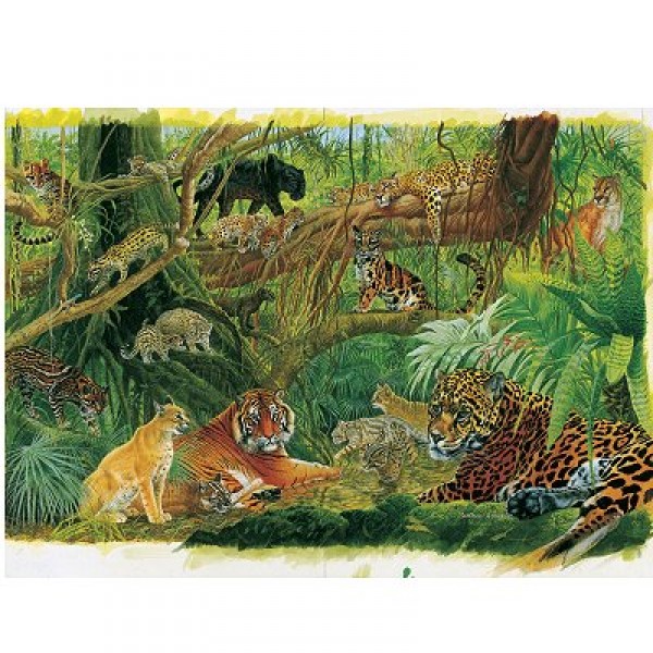 Puzzle 1000 pièce - Les félins de la jungle - Hamilton-RC1/1025