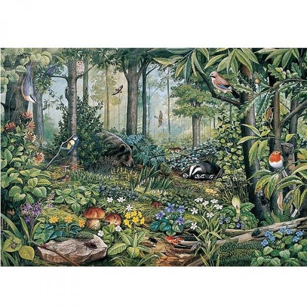 Puzzle 1000 pièces - Collection européenne : Forêt sauvage - Hamilton-EC11/1023