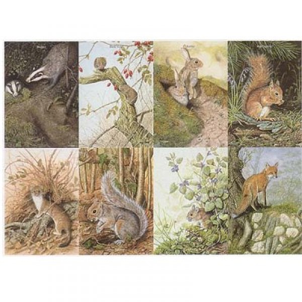 Puzzle 1000 pièces - Les animaux de la forêt - Hamilton-FF1/1013