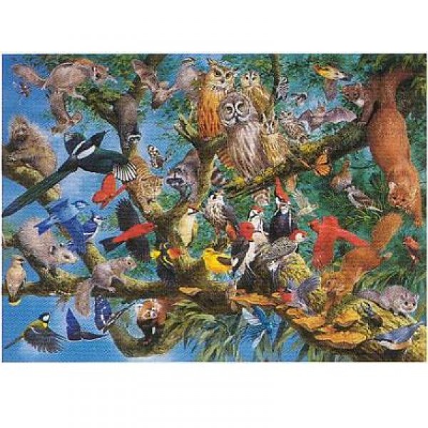 Puzzle 1000 pièces - Oiseaux des cimes - Hamilton-MC5/1038