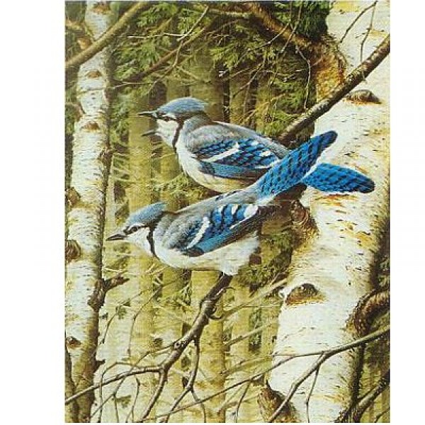 Puzzle 500 pièces - Geai bleu - Hamilton-BJ1/0553