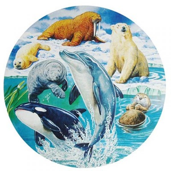 Puzzle 500 pièces rond - Les mammifères marins - Hamilton-MM1/5011
