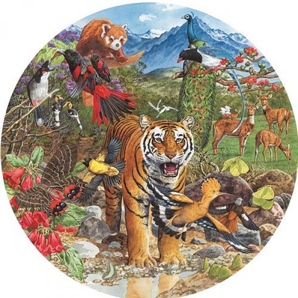 Puzzle 500 pièces rond - Tigre d'Himalaya - Hamilton-HT1/5001
