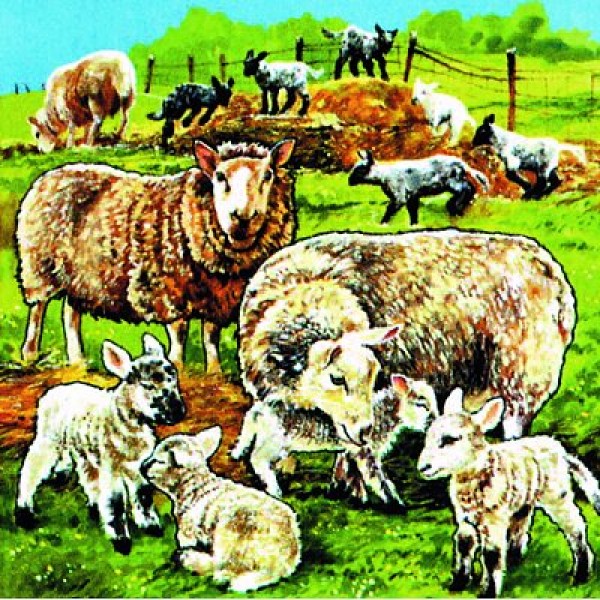 Puzzle 60 pièces - Les animaux de la ferme : Moutons - Hamilton-525-1