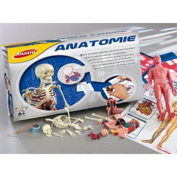 Expérience Anatomie - Heller-Joustra-41605
