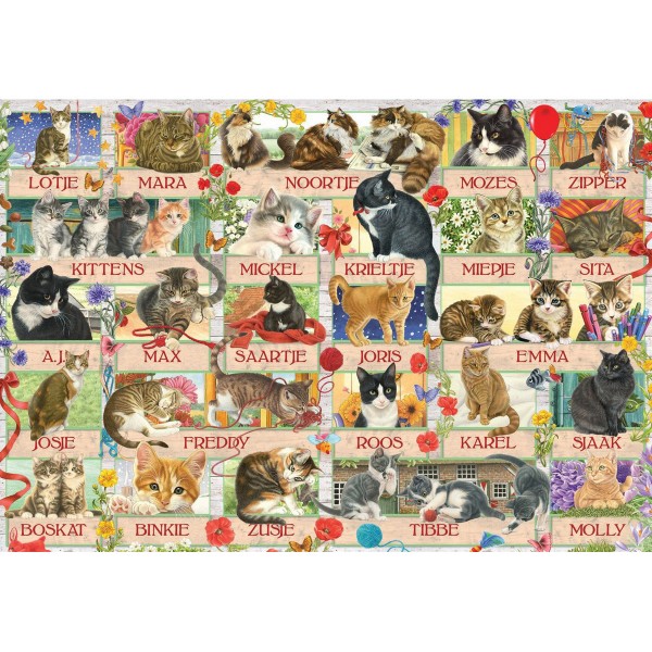 Puzzle 1000 pièces : Anniversary Cats - Diset-18324