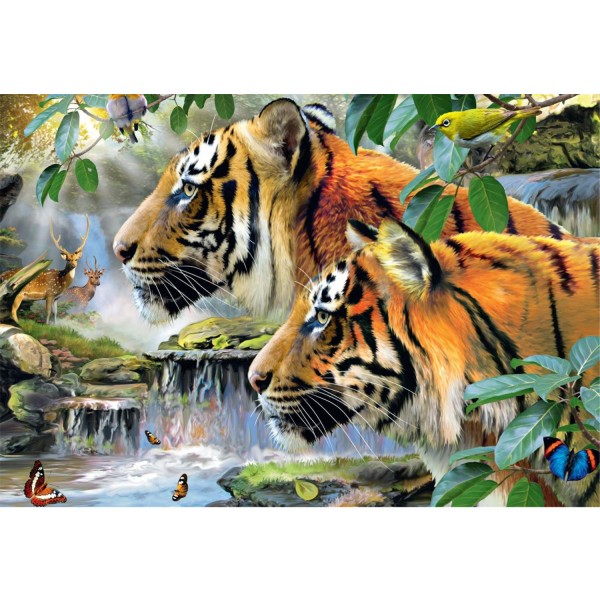 Puzzle 1500 pièces : Tigres du Bengale - Diset-17037