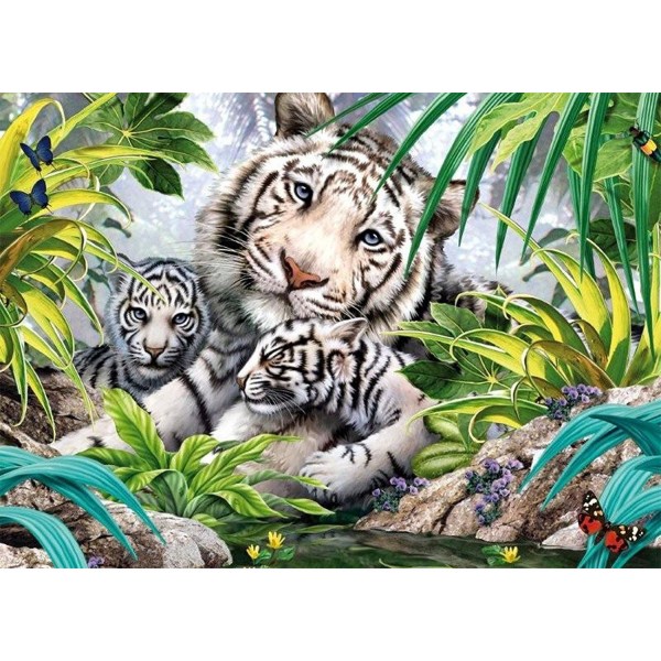 Puzzle 1000 pièces : Tigres blancs - King-58060
