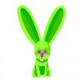 Djeco Lettre animaux en bois : Y