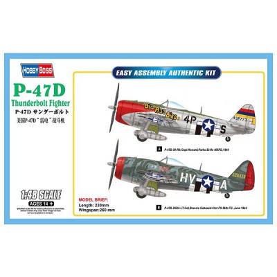Hobby Boss Maquette Avionâ : P-47D Thunderbolt Fighter