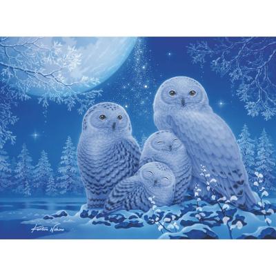 Puzzle Star Line 500 piÃ¨ces : Chouettes au clair de lune