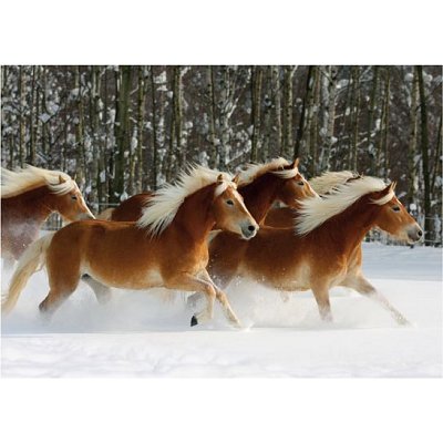 puzzle 239 piã¨ces - magie des chevaux : cheval haflinger iv
