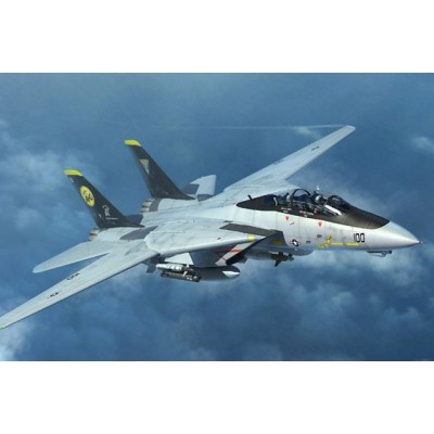 Trumpeter Maquette Avion Militaire : F-14D Tomcat