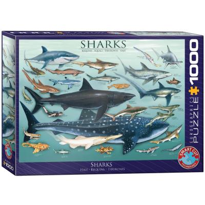 Puzzle 1000 piÃ¨ces : Requins